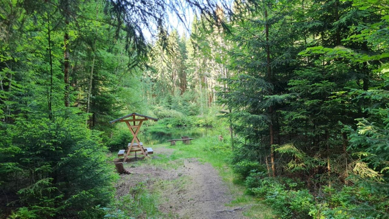 Pension Wernesgruen Kültér fotó