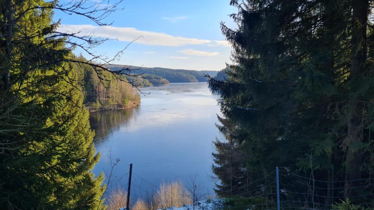 Pension Wernesgruen Kültér fotó